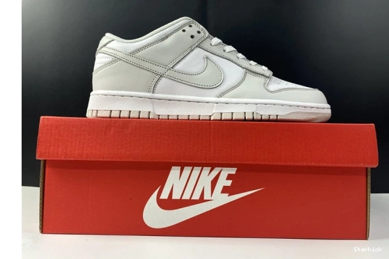 Dust" Nike Low DD1503-103 "Photon Dunk 1107